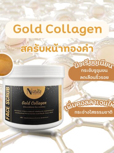 540590132_1231590205678726_3900809123897214581_n 540590132_1231590205678726_3900809123897214581_n