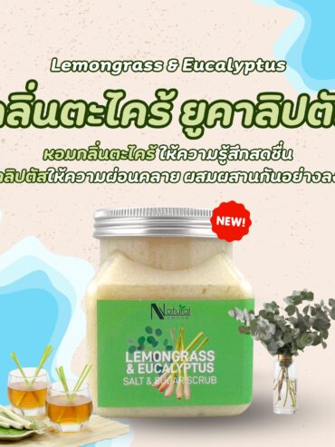 545375653_1237254855112261_8108985196446772501_n 545375653_1237254855112261_8108985196446772501_n